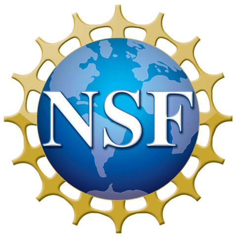 Logo for National Science Foundation